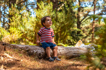 Portrait of a boy sitting on a tree in nature next to pine trees in autumn, Madeira. Portugal