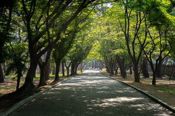Obraz premium Daereungwon, a tourist attraction in Gyeongju