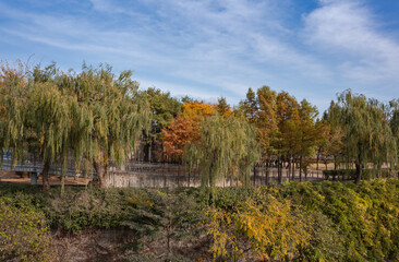 autumn landscape with a lake