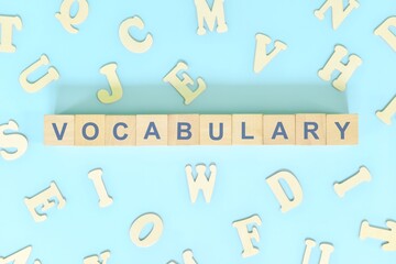Vocabulary concept in English grammar and learning class lesson. Wooden blocks typography word flat lay in blue background.	