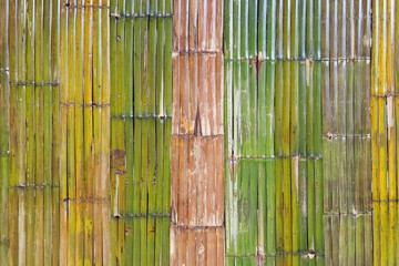 Bamboo wall. wall made of thin green bamboo. Strong wall. Palisade. Background of dry and fresh...