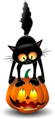 Foto op Plexiglas Draw Kat leuk Halloween karakter Cartoon staande op een pompoen