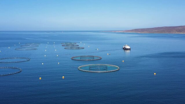 Aerial footage Farm salmon fishing in Norway
