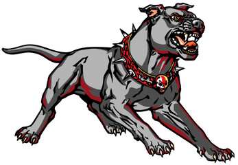 attacking dog wearing a spiked collar with a skull standing in an aggressive pose showing his teeth. Isolated vector illustration 
