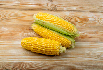 Sweet Corn Ears on Wooden Desk