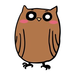 owl on a white background