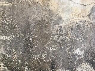 Dirty cement wall texture 