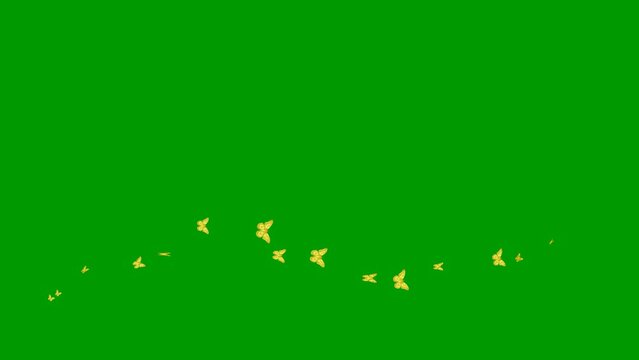 Animated gold butterflies fly from left to right. A wave of butterflies. Concept of summer. Vector illustration isolated on the green background.