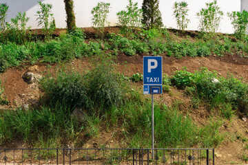 A square blue road sign designating a taxi parking spot on a grass background. Tools for regulating and informing traffic rules.