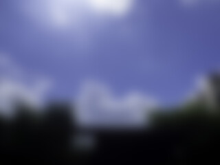 Blurred background of sky, trees. Green environment nature background wallpaper.