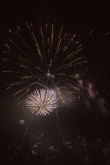 fireworks in the night sky