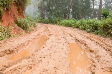 Muddy wet countryside road in Chiang Mai, northern of Thailand. track trail mud road in forest...