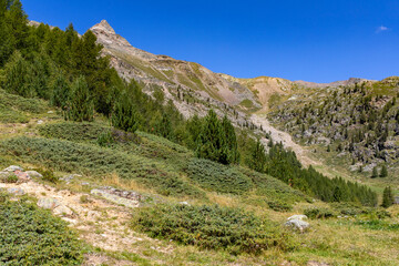 Fototapeta na wymiar Ötztaler Alpen am Ende des Schnalstals
