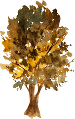 Fototapeta premium Watercolor autumn, fall tree, hand painted, illustration, decoration, invitation