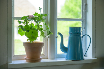 Country house window decoratively adorned