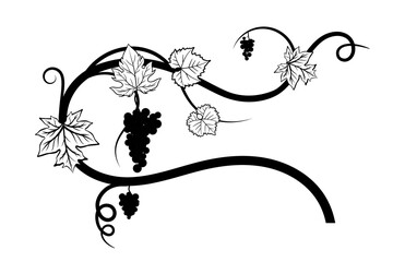 black_silhouette_of_grape_vine