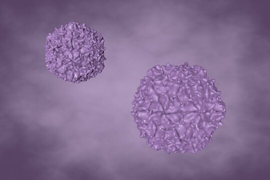 Human Polioviruses On Very Peri Background. Poliovirus Transmitted By Drinking Water, Infect Children And Causes Polio Disease. Scientific Background. 3d Illustration