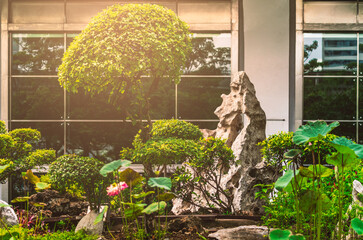 Fototapeta premium Beautiful big stone and green garden in front of a business building, gold light ambient, garden decoration with big stone and lotus pond. Background of mirror window of the building.
