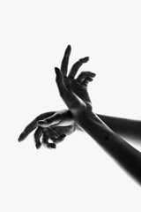 Beauty, grace. Monochrome image of beautiful hands in different motion isolated on white background. Concept of emotions, creativity, symbolism, art