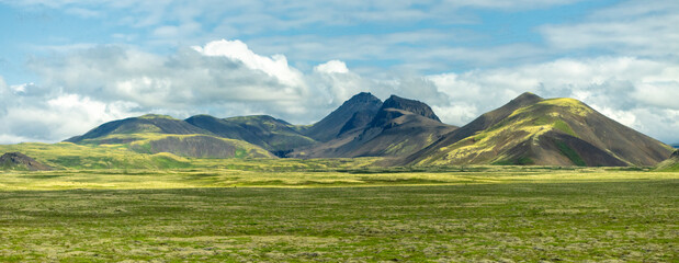 Green meadows and moss-covered lava fields, volcanoes in the south of Iceland
