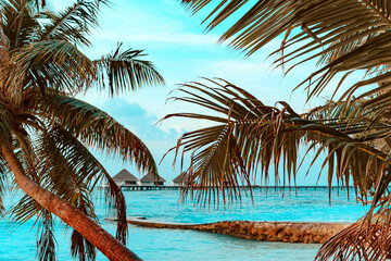Fototapeta na wymiar picturesque sunrise in the Maldives island, the sun rising from the Indian ocean and reflected in the water, travel concept, palm trees hanging over the water