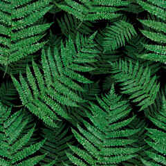 Tropical palm leaves, jungle leaf seamless watercolor floral pattern background