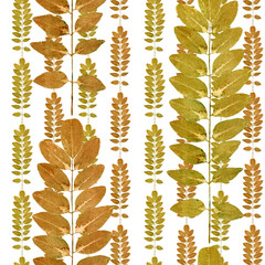 autumn pattern with leaves and branches, watercolor illustration