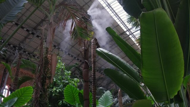 Irrigation system close up. Air humidification with steam in a batanic garden to create a climate for plants.