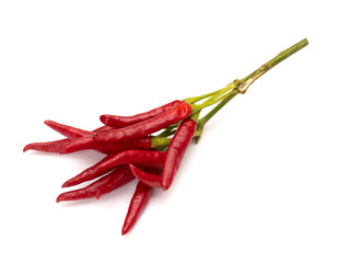 Japanese raw red pepper