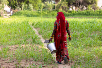 Village woman in Luni, Jodhpur (India) - 526708126
