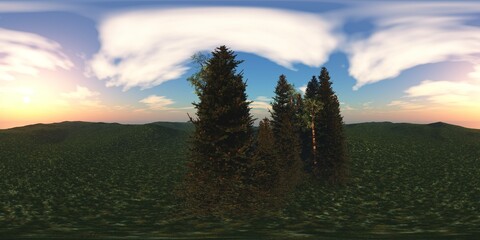 Forest and glade, HDRI, environment map , Round panorama, spherical panorama, equidistant projection, panorama 360, Forest and swamp, 3d rendering