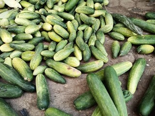 Cucumbers sold in traditional markets
