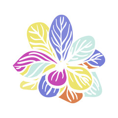 Vector Colorful Illustration of Petal Flower Isolated on White Background
