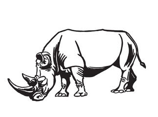 Vector illustration of rhino isolated on white background, grey rhinoceros 