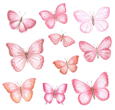 watercolor pink butterflies isolated on white background. Illustration. Templates. Watercolor. Hand drawing. Greeting card design. Clip art.