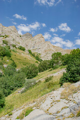 mountain river in the mountains