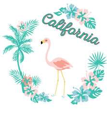 California flamingo