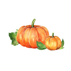 Watercolor pumpkis