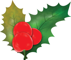 Christmas symbol vector illustration.
Christmas holly leaves and branches with winter red berries Watercolor Vector Illustration for decorative element.
Vector Set of Christmas evergreen holly leaves.