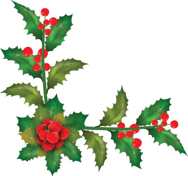 Christmas symbol vector illustration.
Christmas holly leaves and branches with winter red berries Watercolor Vector Illustration for decorative element.
Vector Set of Christmas evergreen holly leaves.