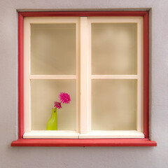 Pink peony flower in green vase in window, white wall