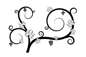 Stylized grapes with fruits and leaves. Made in black and white colors