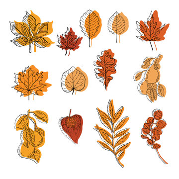 Vector collection of autumn pictures of yellow, orange and red leaves of different trees, pears. Used for decoration, card design, wallpaper, for printing on fabric, as a background, etc.