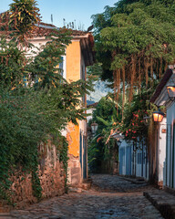 Fototapeta na wymiar View to the vegetation growing on the walls of the old houses in the historic city of Paraty - Brasil