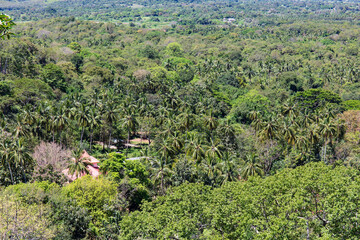Fototapeta na wymiar mountains and jungles in Sri Lanka, landscape 