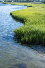 Marshgrass Along a Waterway Near the Ocean