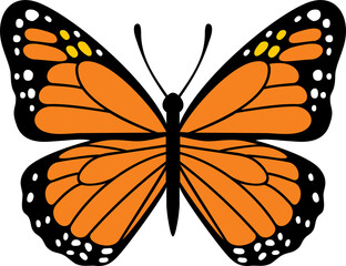 Butterfly insect color png illustration