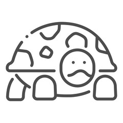 icon turtle