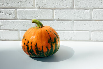 Orange pumpkin on a white table against a white brick wall background with shadow. Front view