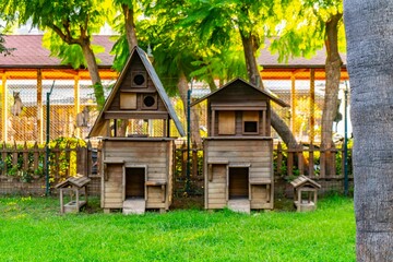 Fototapeta na wymiar wooden cat house in the garden